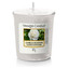 Yankee Candle Camellia Blossom Vonná svíčka 49 g unisex