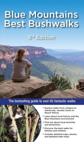 Blue Mountains Best Bushwalks