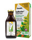 Salus Floradix Gallexier 250 ml
