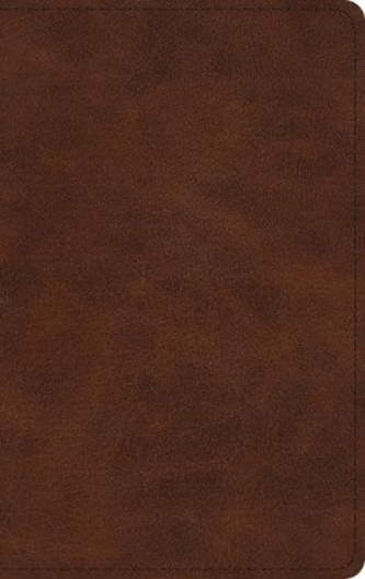 ESV Large Print Thinline Bible