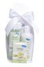 KPPS Dárkový balíček Ginkgo (tělový šampon 250 ml, tělové mléko 200 ml, tuhé mýdlo 125 g)