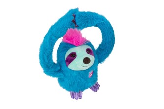 Slowy lenochod tyrkysový