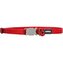 Obojek pro koťata RD 8 mm x 16-26 cm - Červená