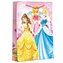 Disney Dárková taška XL - Princess 33 x 46 cm