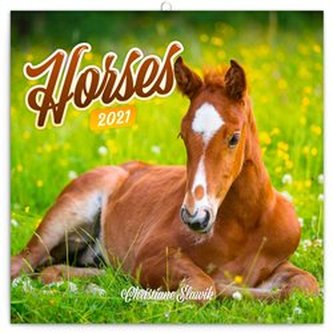 Kalendář 2021 poznámkový: Koně – Christiane Slawik, 30 x 30 cm