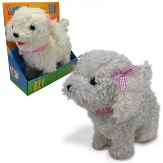 Štěně slečna Eli