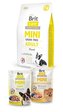 BONUS Brit Care Mini Grain Free Adult Lamb 2kg+2x pouch 85g