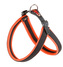 Postr.FER AGILA FLUO 2 HARNESS ORANGE