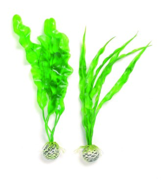 Rostl.akv.BIORB UH zelena M