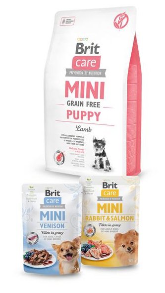 BONUS Brit Care Mini Grain Free Puppy Lamb 2kg+2x pouch 85g