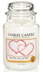 Yankee Candle 623g Snow In Love