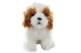 Plyš Shih-tzu 38 cm