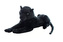 Plyš Puma 57 cm