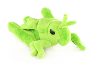 Plyš Luční kobylka Plyš Luční kobylka