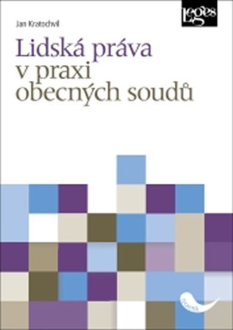 Lidská práva v praxi obecných soudů Lidská práva v praxi obecných soudů