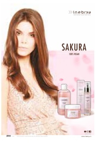Inebrya Sakura Desk Pancard