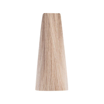 Bionic ASH 10/1 Blonde Platinum Ash 100ml/Permanentní barvy/Popelavé
