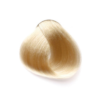 Color ASH 10/1 Blonde Platinum Light Ash 100ml/Permanentní barvy/Popelavé