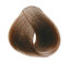 Color ASH 7/1 Blonde Ash 100ml/Permanentní barvy/popelavé