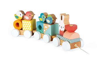 Dřevěný vláček Pure Janod