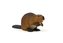 Mojo Animal Planet Bobr