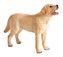 Mojo Animal Planet Labrador