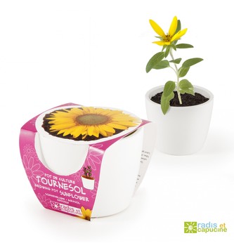 Mini zahrádka - Mini květináč Ceramic se slunečnicí