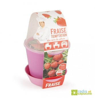 Zábavná zahrádka - Květináč Bell s jahodami