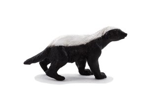 Mojo Animal Planet Medojed