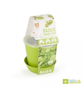 Zábavná zahrádka - Květináč Bell s bazalkou