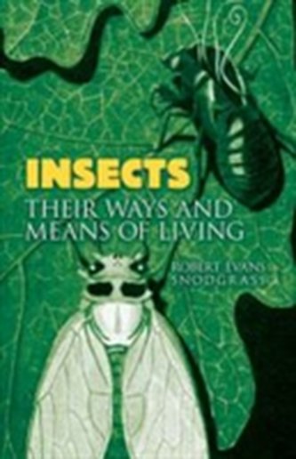 Insects