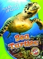 Sea Turtles