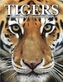 Tigers