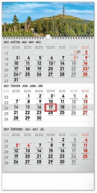 Nástěnný kalendář 3měsíční Krajina šedý