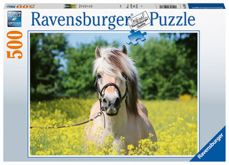 Puzzle Plavý kůň 500 dílků