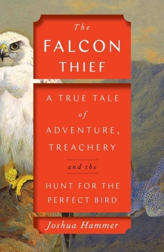The Falcon Thief