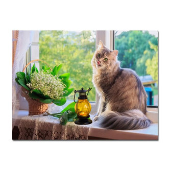 Obrázek se světýlky Kočka na okně