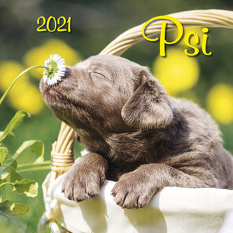 Kalendář 2021 - Psi, nástěnný