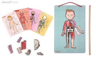 Magnetická skládačka Lidské tělo svaly kostra orgány Bodymagnet Janod od 7 let