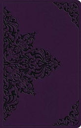 ESV Large Print Value Thinline Bible