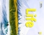 Life: Combo Split 1A with Web App