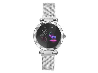 Hodinky IMMAX SW12 SILVER