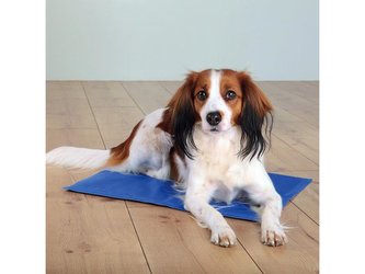 Podložka chladící TRIXIE 40 x 50 cm