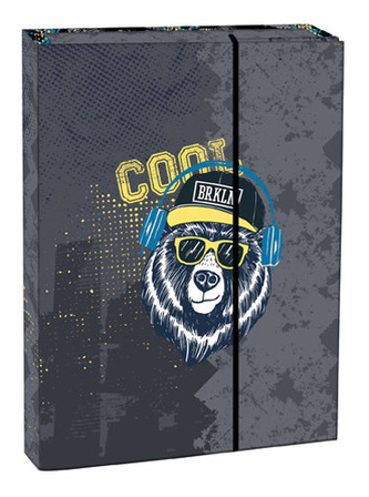 Box na sešity s klopou A4 Cool bear STIL