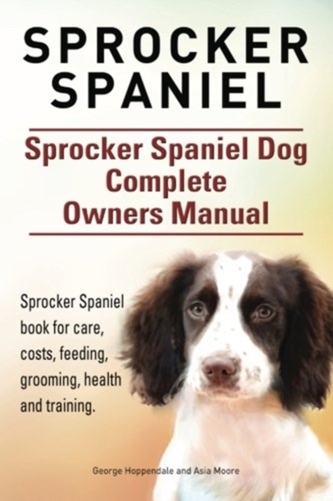 SPROCKER SPANIEL. SPROCKER SPANIEL DOG C