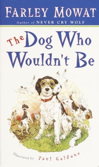 DOG WHO WOULDN'T BE