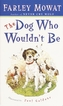 DOG WHO WOULDN'T BE
