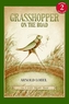 GRASSHOPPER ON THE ROAD