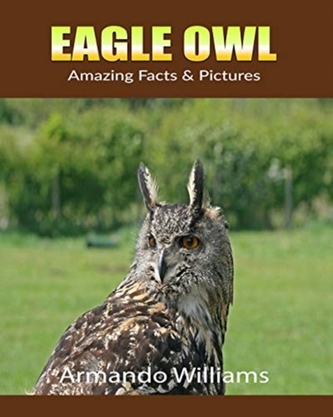 EAGLE OWL