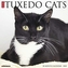 JUST TUXEDO CATS 2020 WALL CALENDAR